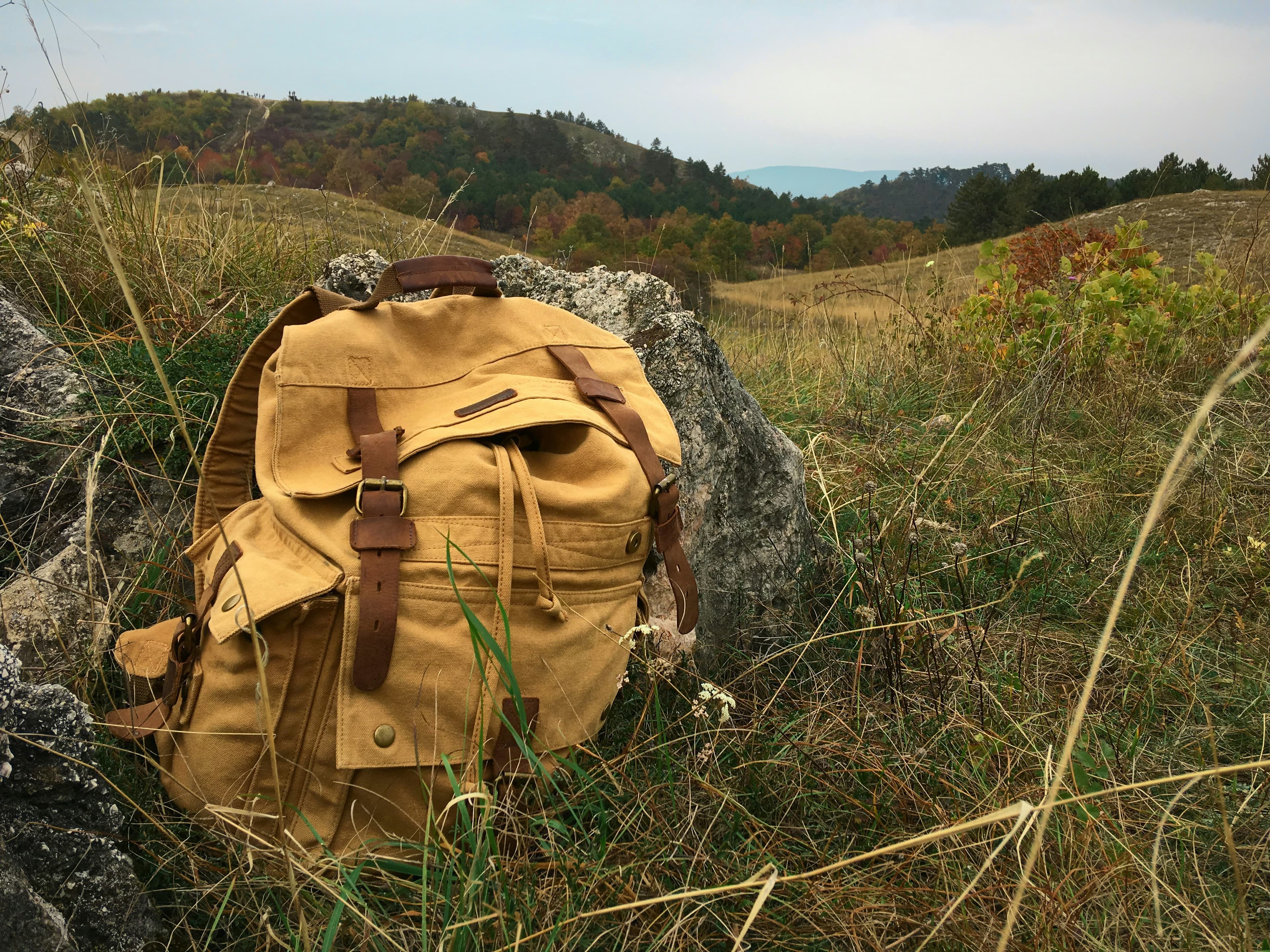 TrailMaster Hiking Backpack 45L