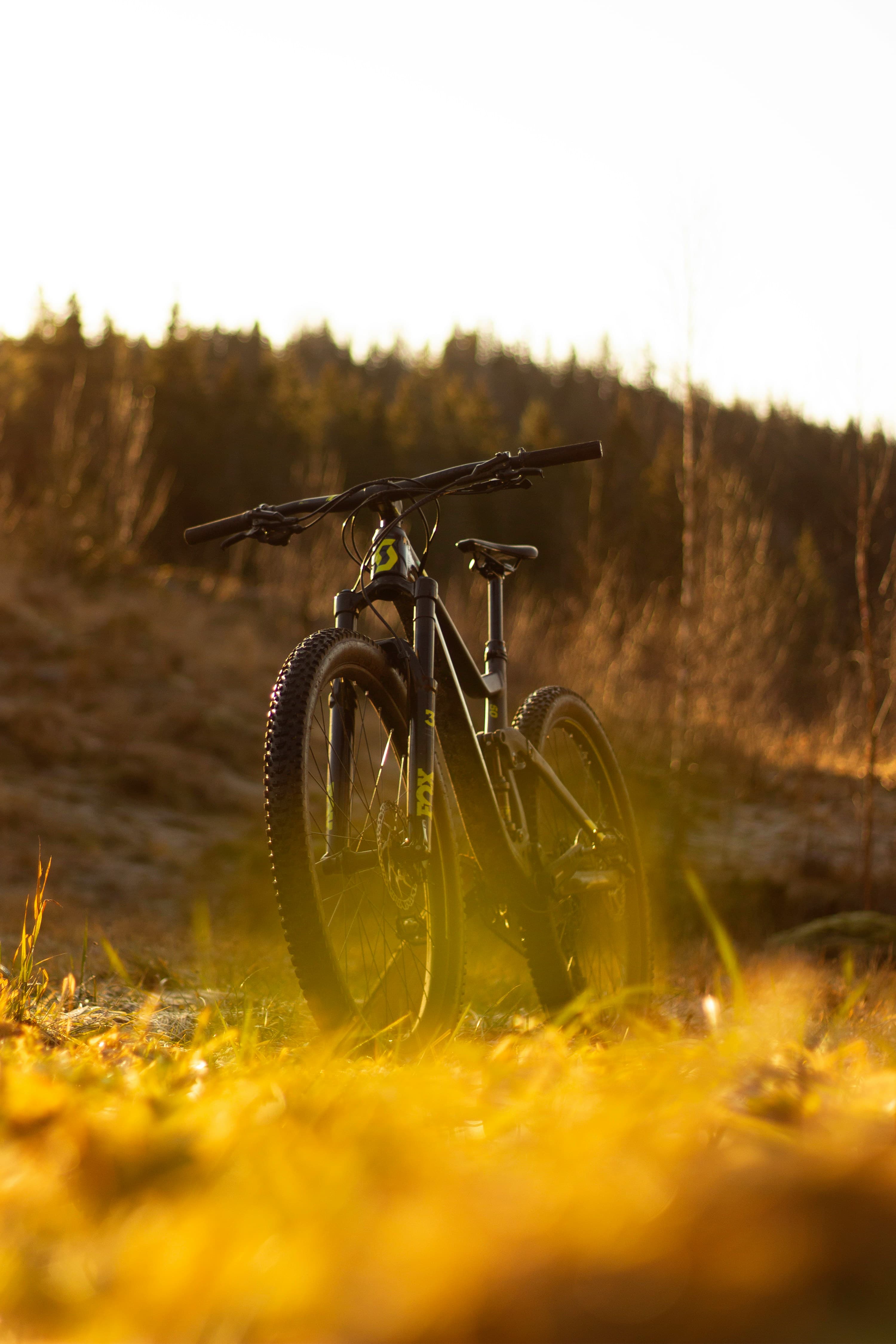 Mountain Bike Pro 29