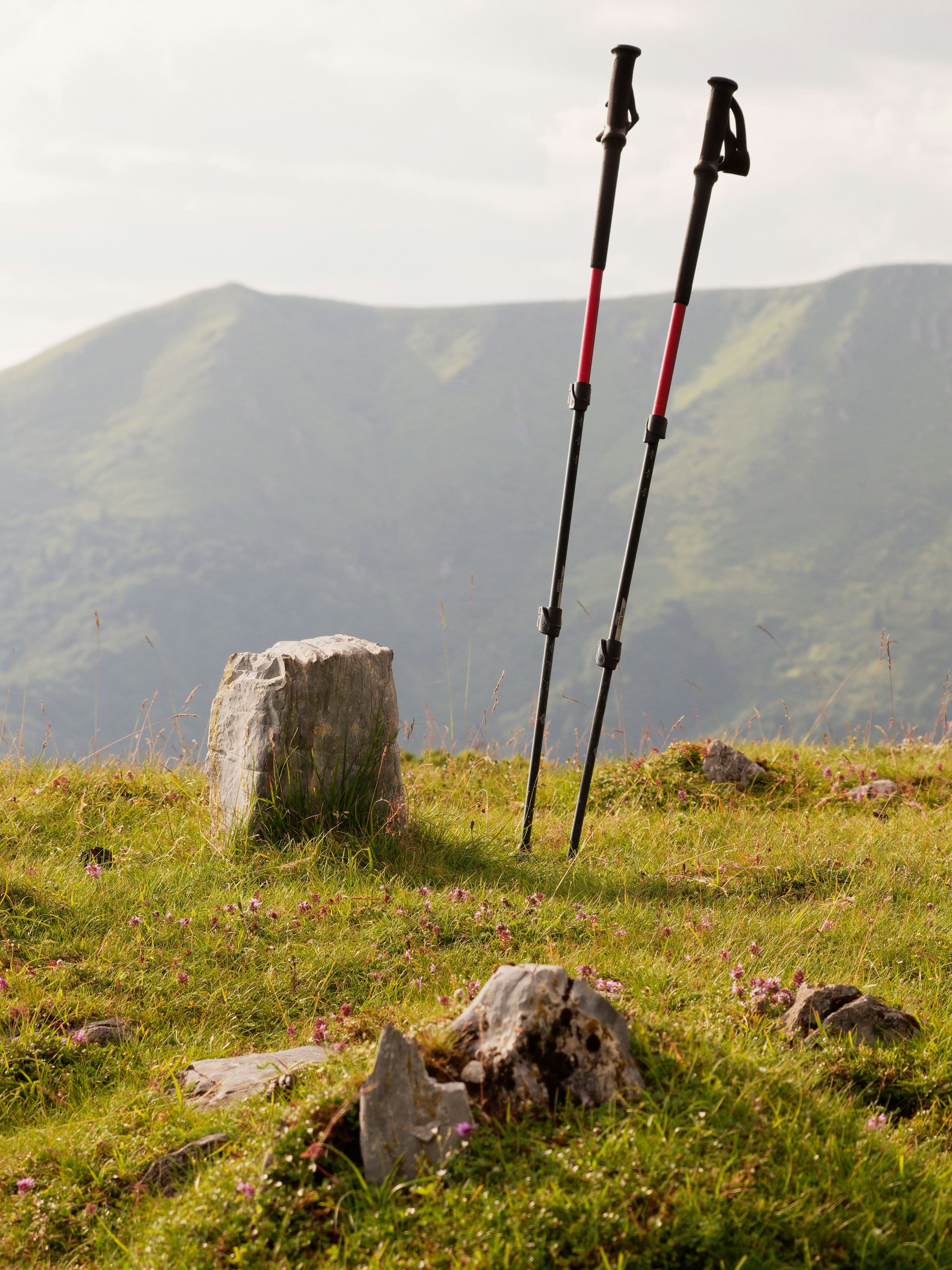 Carbon Trekking Poles Set