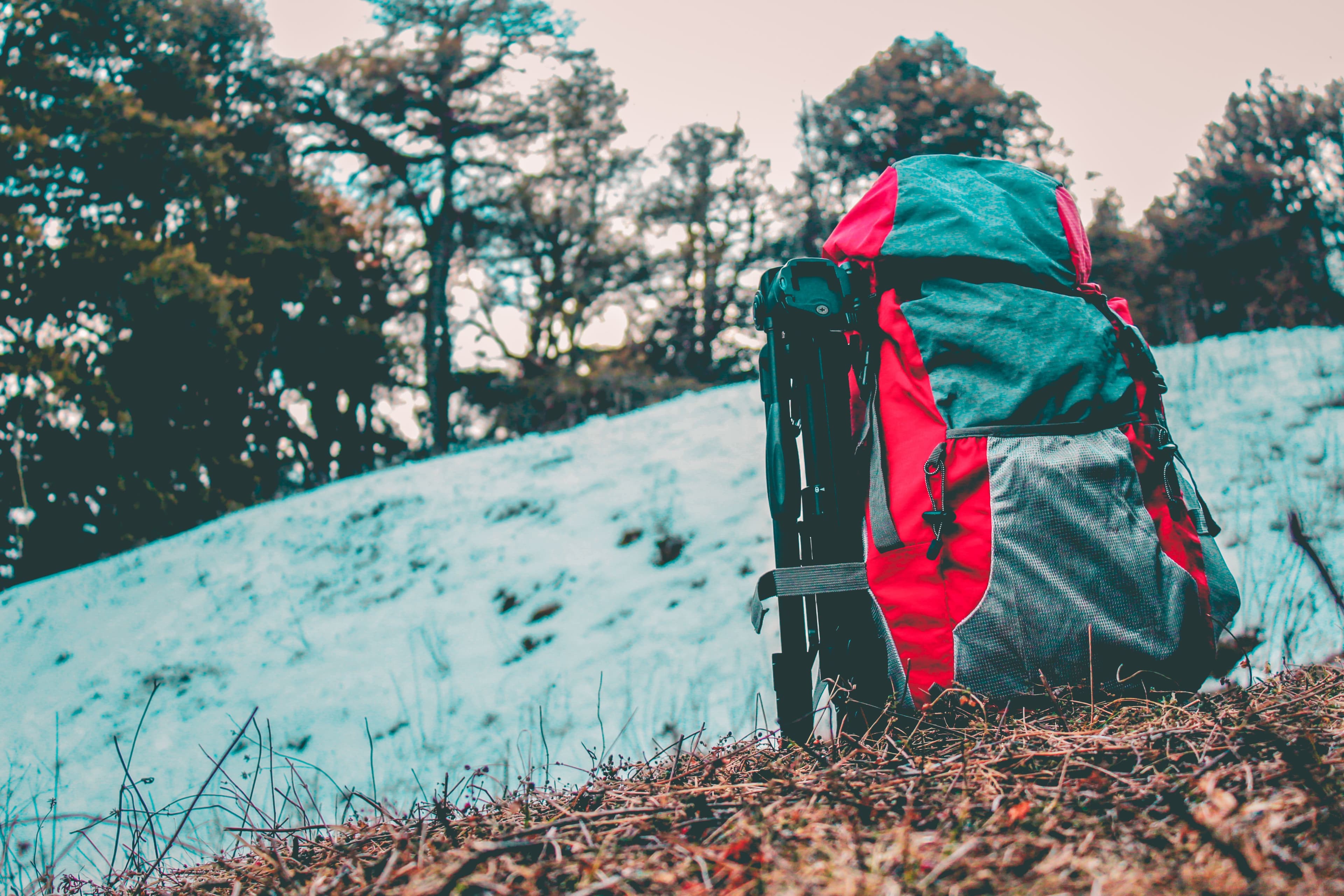 TrailMaster Hiking Backpack 45L